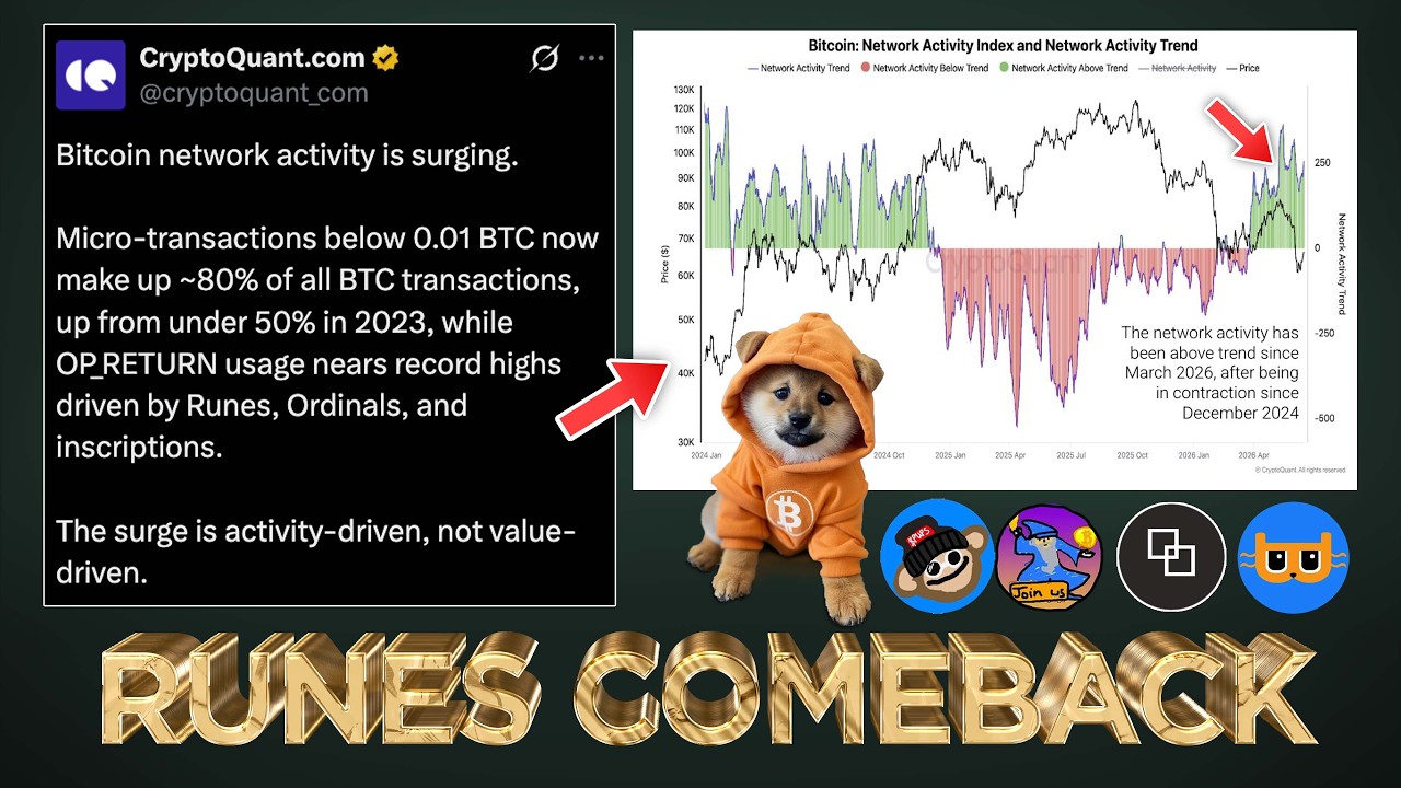🚨 CryptoQuant: $DOG & Bitcoin Runes Hit Record High Network Activity 🔥