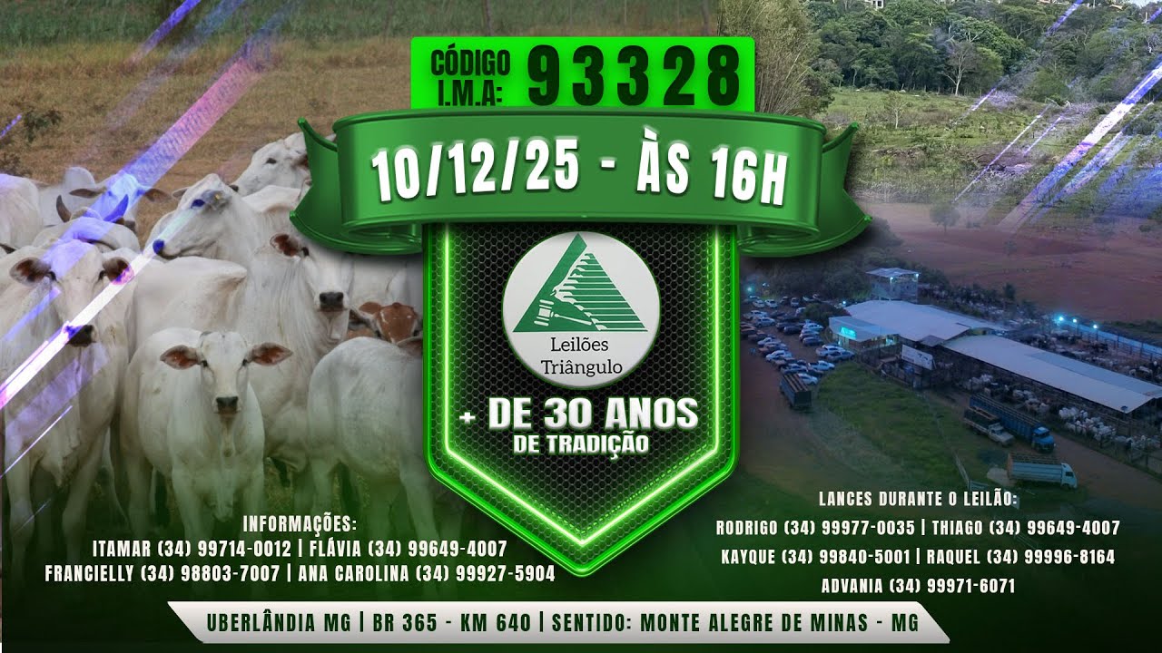 290&ordm; LEIL&Atilde;O PRESENCIAL E ONLINE DE GADO DE CORTE -  LEIL&Otilde;ES TRIANGULO  -  10/12/25  &agrave;s 16:00