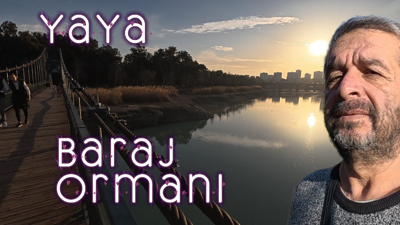 Eski Baraj Ormanı #2