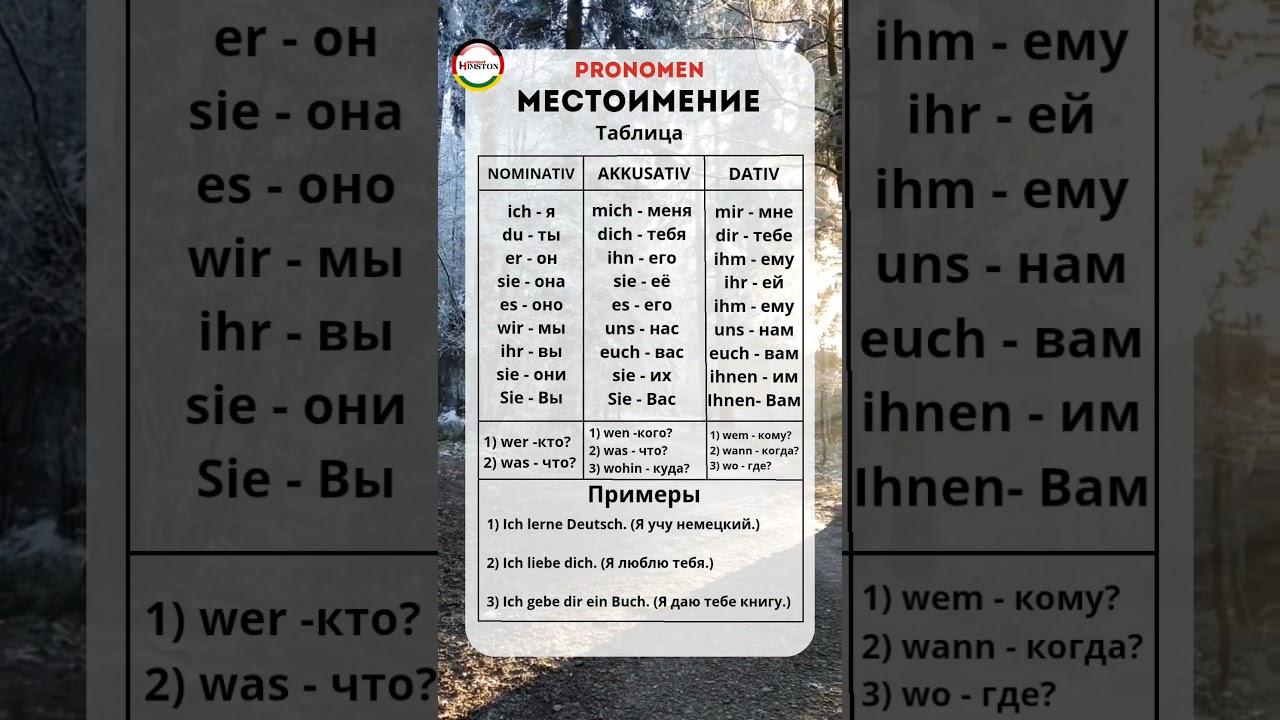 Pronomen - Местоимение в Немецком языке 📚🇩🇪 #deutschlernen #deutsch #germany