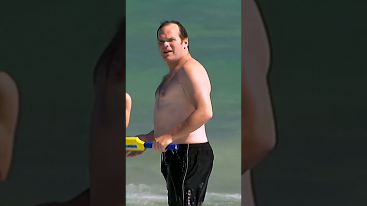 SHARK! A beachgoers worst nightmare... 😰 #shorts #bondirescue #sharks