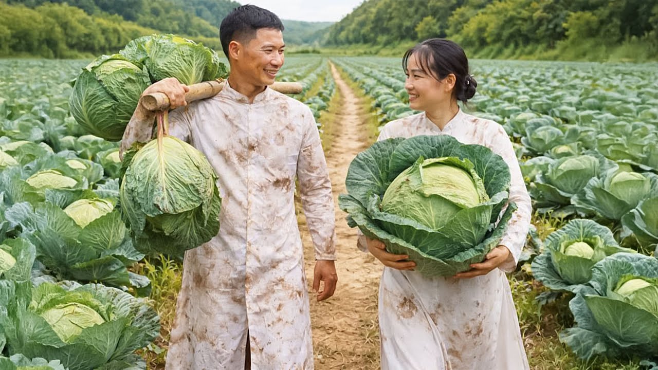 Harvesting Cabbage with My Husband to Sell at the Market – Cooking a Delicious Meal for the Family