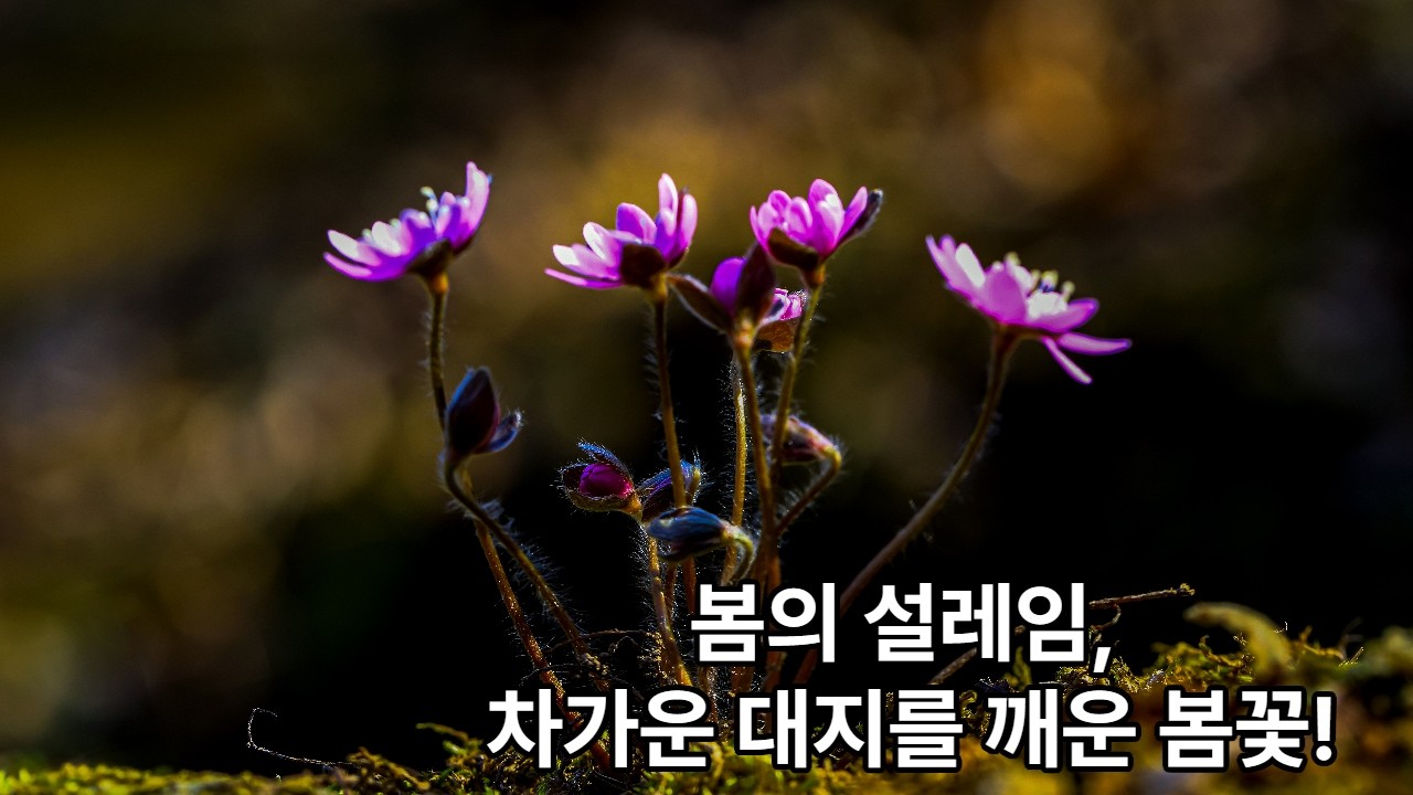 봄의 설레임