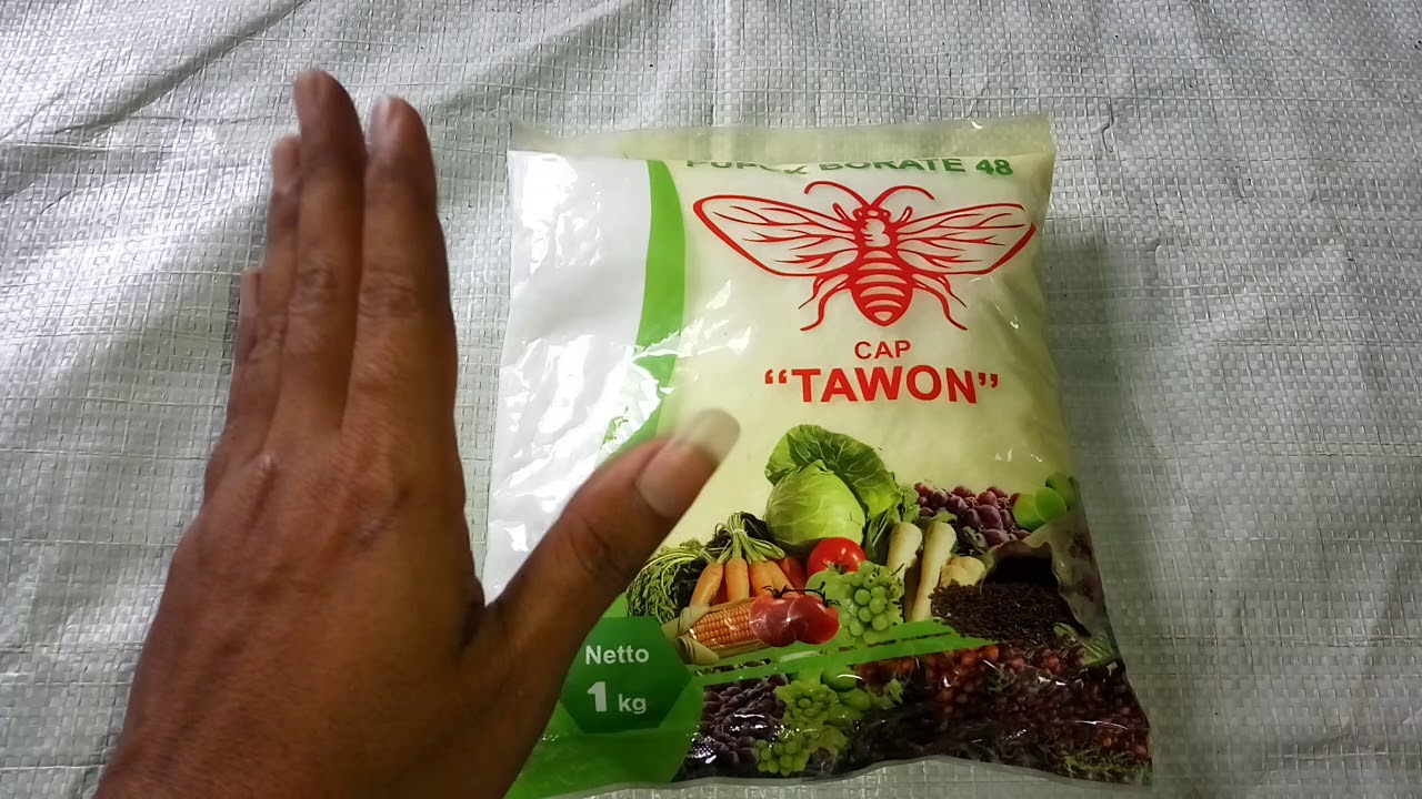 Review Pupuk Borate / Boron