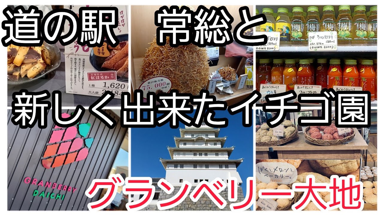 茨城県に新しく出来た道の駅常総とイチゴ園グランベリー大地さんに行ってきたので紹介します#いちごスイーツ#いちご狩り#いちご#空中イチゴ狩り