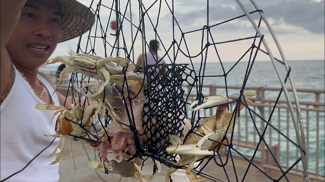 Đi Bắt GHẸ BIỂN Ở Sunny Isles Beach, Florida | LuuLinh TV