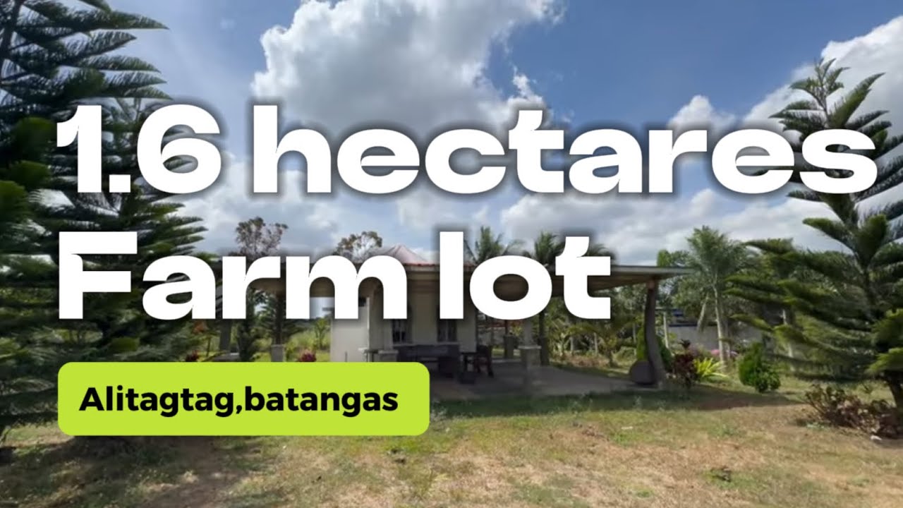 L-230-24 Farm house and lot 1.6 hectares with fruit trees and mountain view | alitagtag batangas