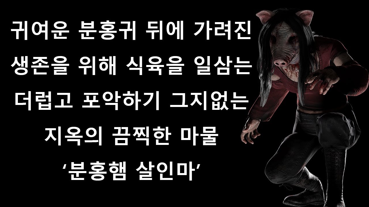 만났다 하면 올라가는 유투브각 자판기 '그 돼지'