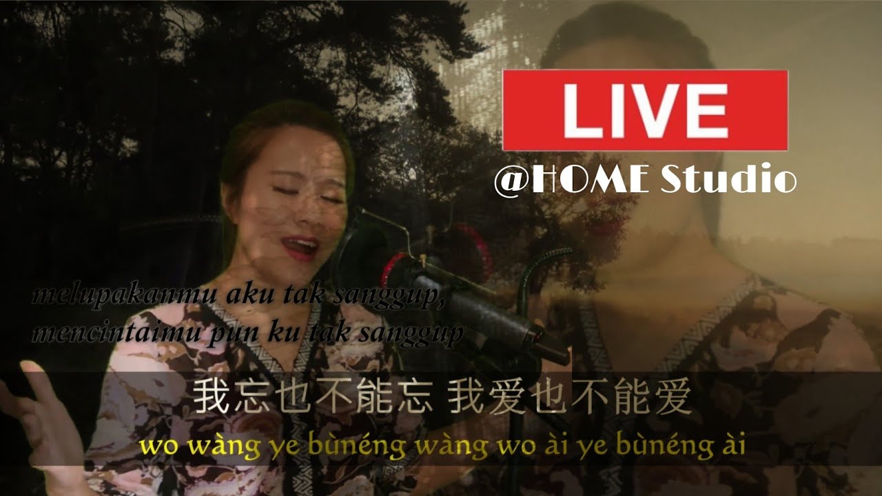 Bu Neng Wang Bu Neng Ai 不能忘不能爱 - 黄佳佳 Huang Jia Jia