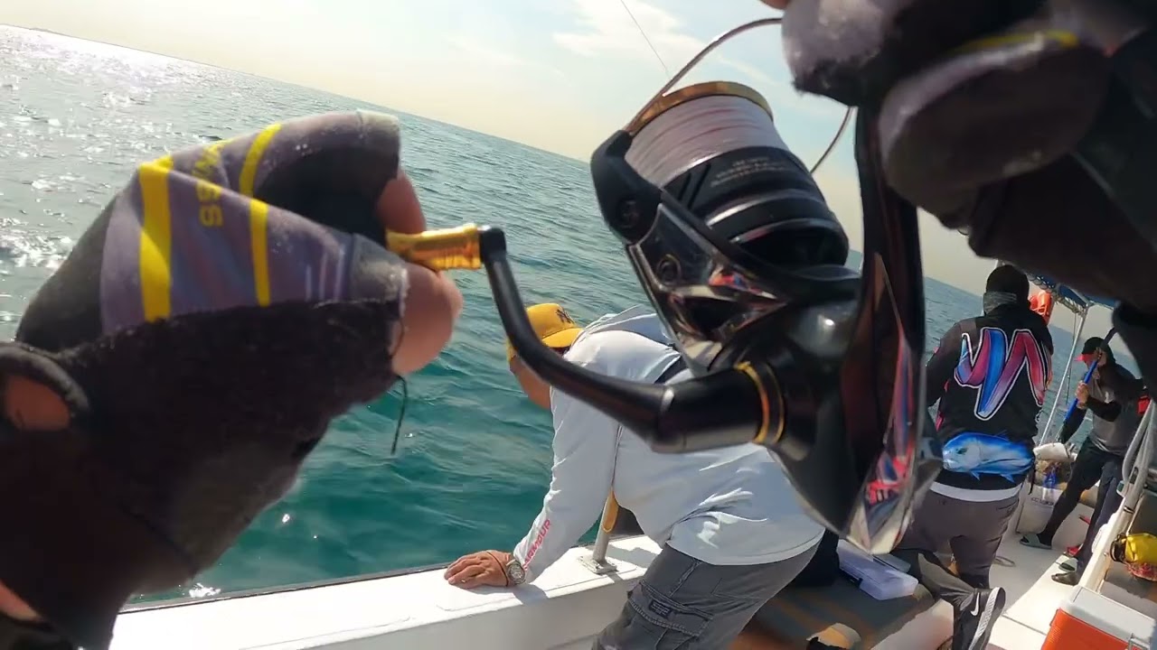 King Fish hunting, Season starts now!