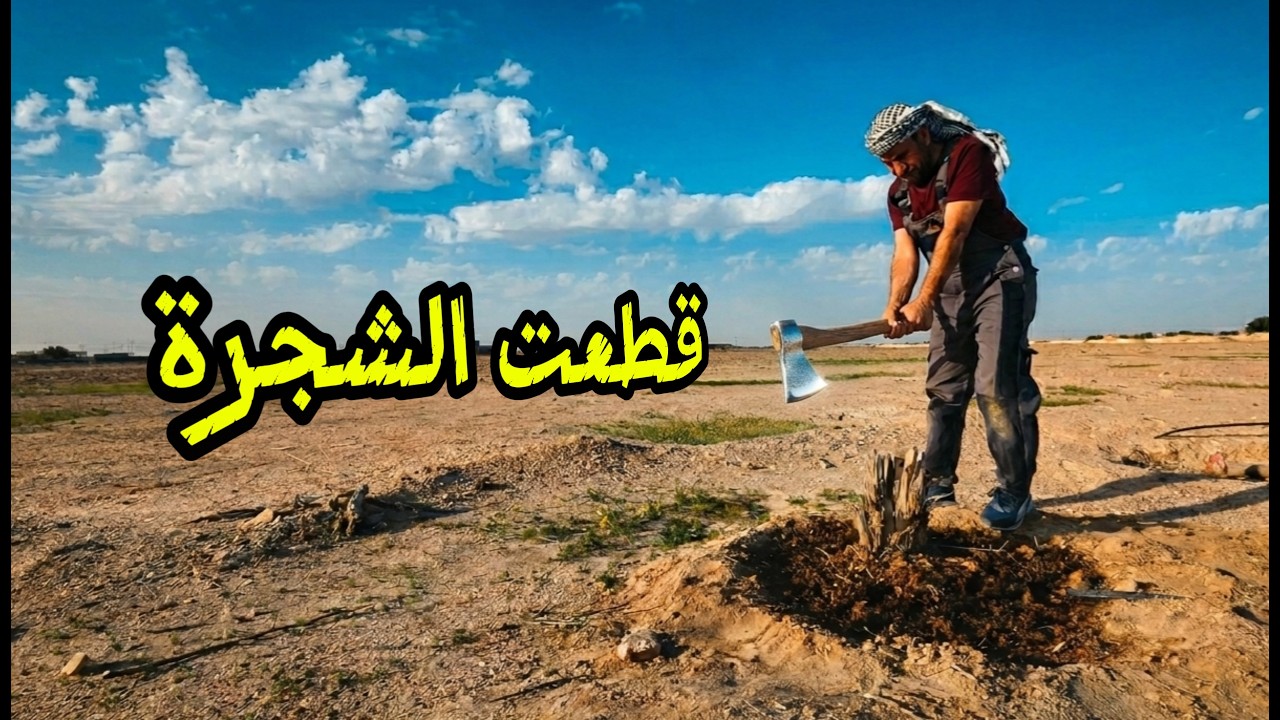 ازرع الاشجار دائما واليوم قطعتها ؟؟؟