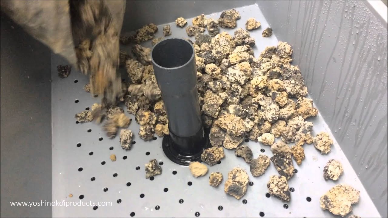 DIY Trickle Filter 2016