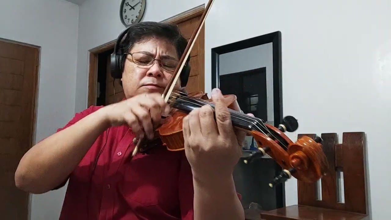 PORTRAIT OF MY LOVE written by Norman Newell and Cyril Omadel (Violin Cover)