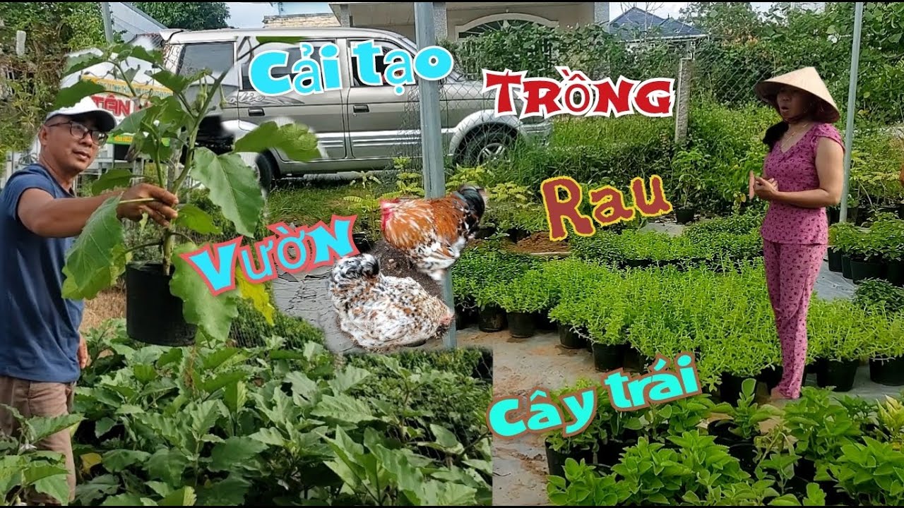 CảiTạoVườnTrồng Cây trái RauVà Nuôi ĐộngVật (Growing Fruits,Vegetables, and Raising Various Animals)