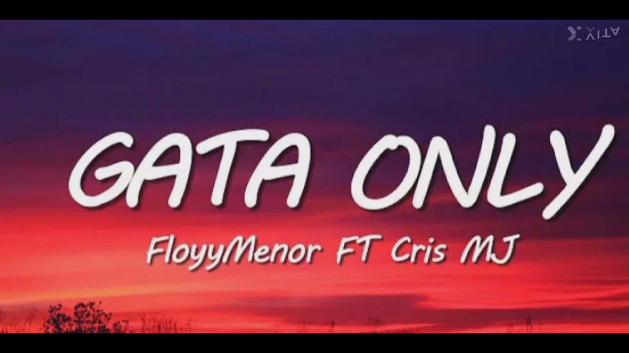FloyyMenor - #GATA ONLY ft.# Cris MJ (Letr...#