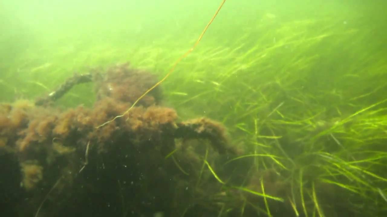 Ubåden Freja i Øresund