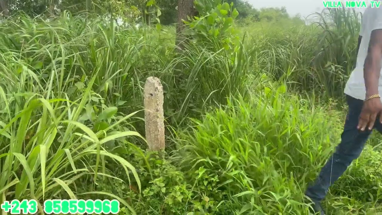 Ici venté de hectare résidence à maluku Q/bita 500m sur route national n.1 prix 4500$ à discuter