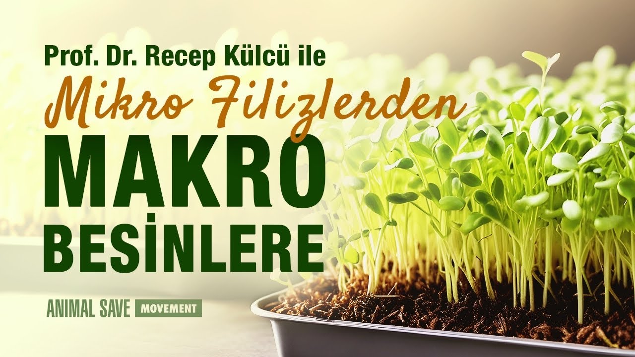 Evimizde Yetiştirebileceğimiz Süper Besinler: Mikro Filiz ve Mikro Yeşiller | Prof. Dr. Recep Külcü