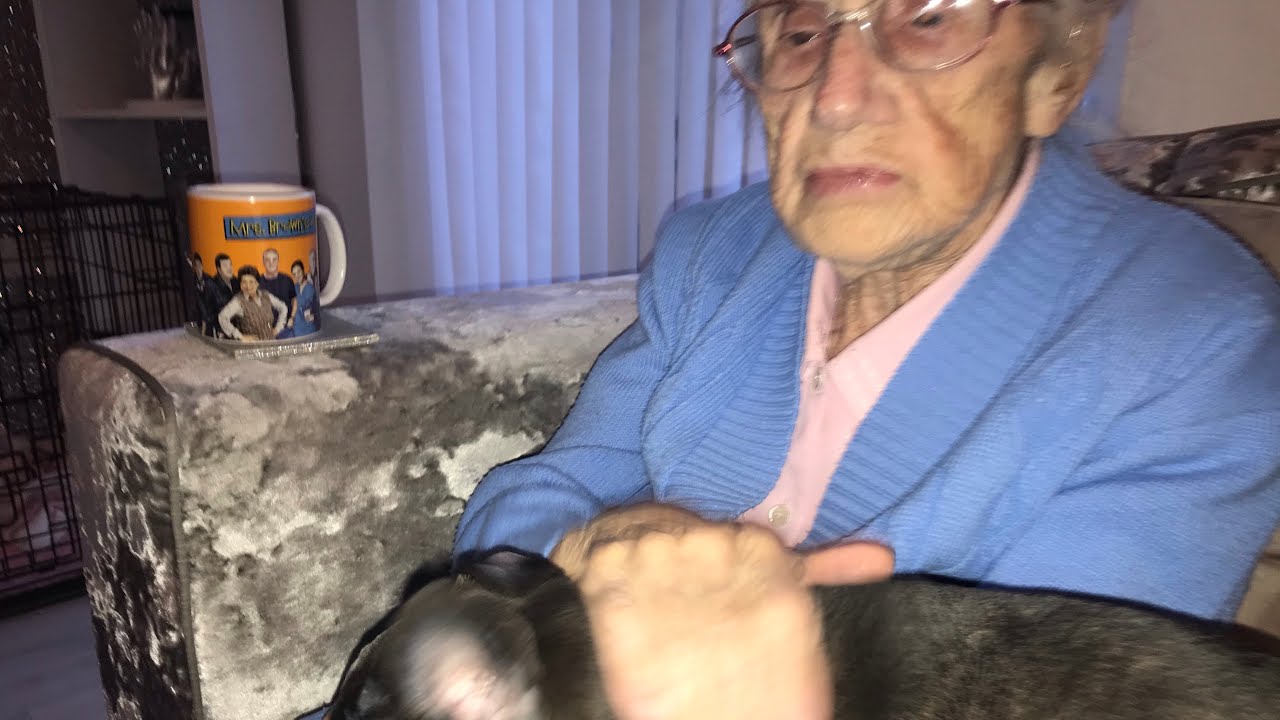 92 year old grandma meets french bull dog puppy