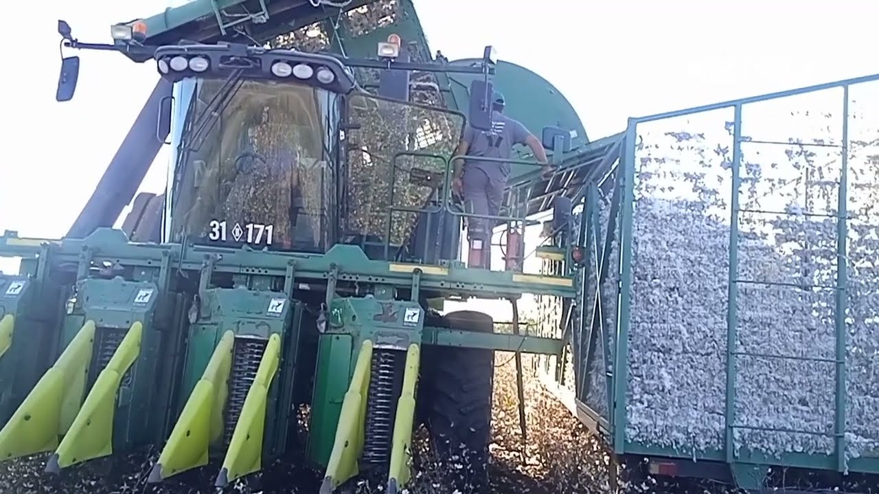 john Deere 7660 συλλογή βαμβακιού Καστανιές Έβρου 2.10.2024