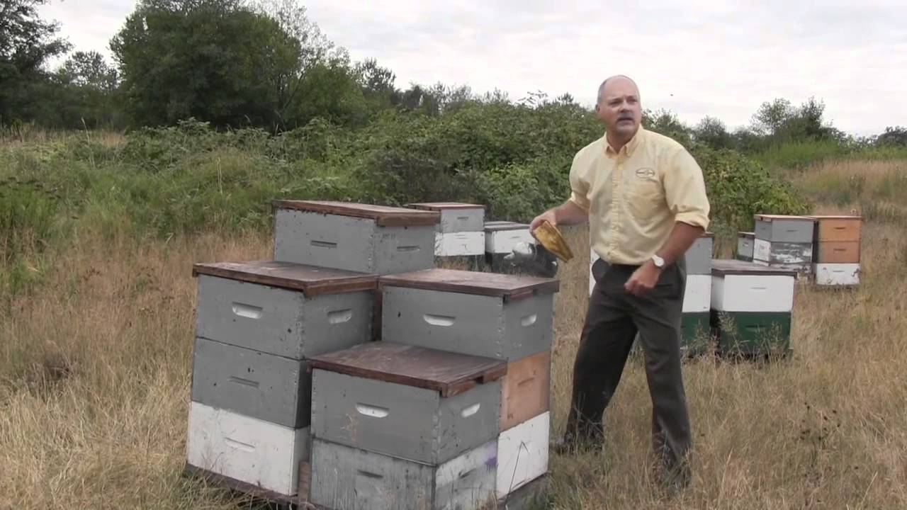 The Fairmont Vancouver Airport -- Live@YVR at the Honey Harvest