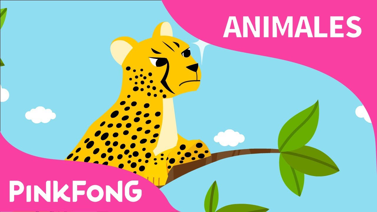 Rápido Guepardo | Guepardo | Animales | PINKFONG Canciones Infantiles