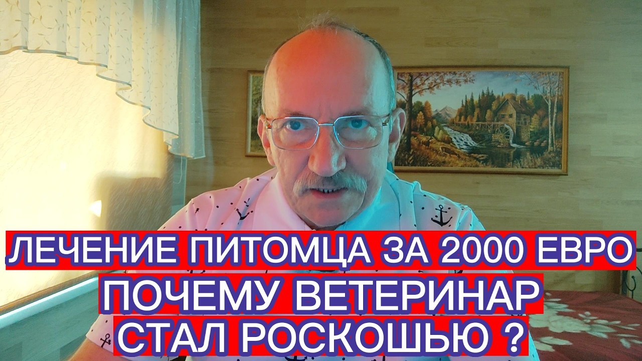 ЛЕЧЕНИЕ ПИТОМЦА ЗА 2000 ЕВРО . ПОЧЕМУ ВЕТЕРИНАР СТАЛ РОСКОШЬЮ ?