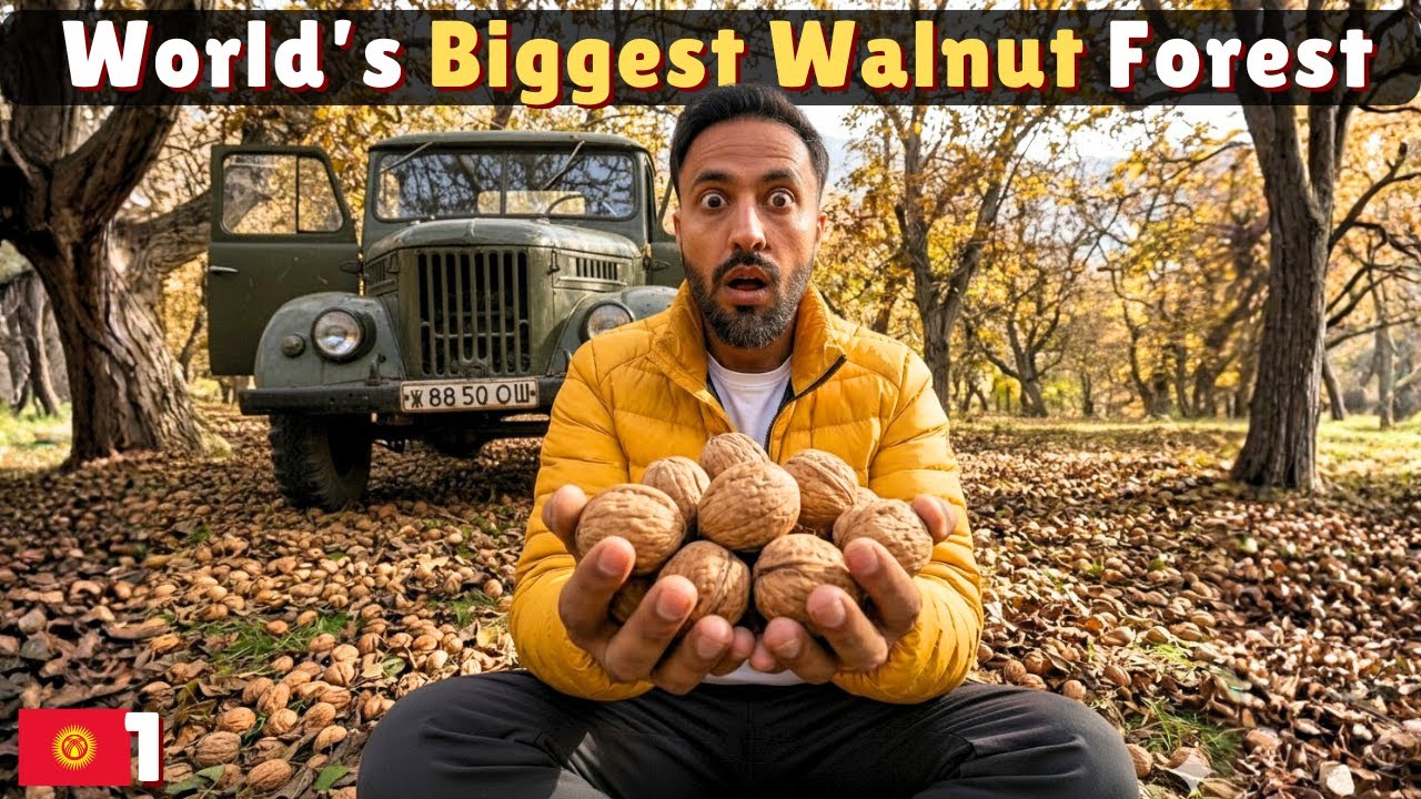 World's Biggest Walnut Forests & some Vintage Cars | Arslanbob Kyrgyzstan 🇰🇬