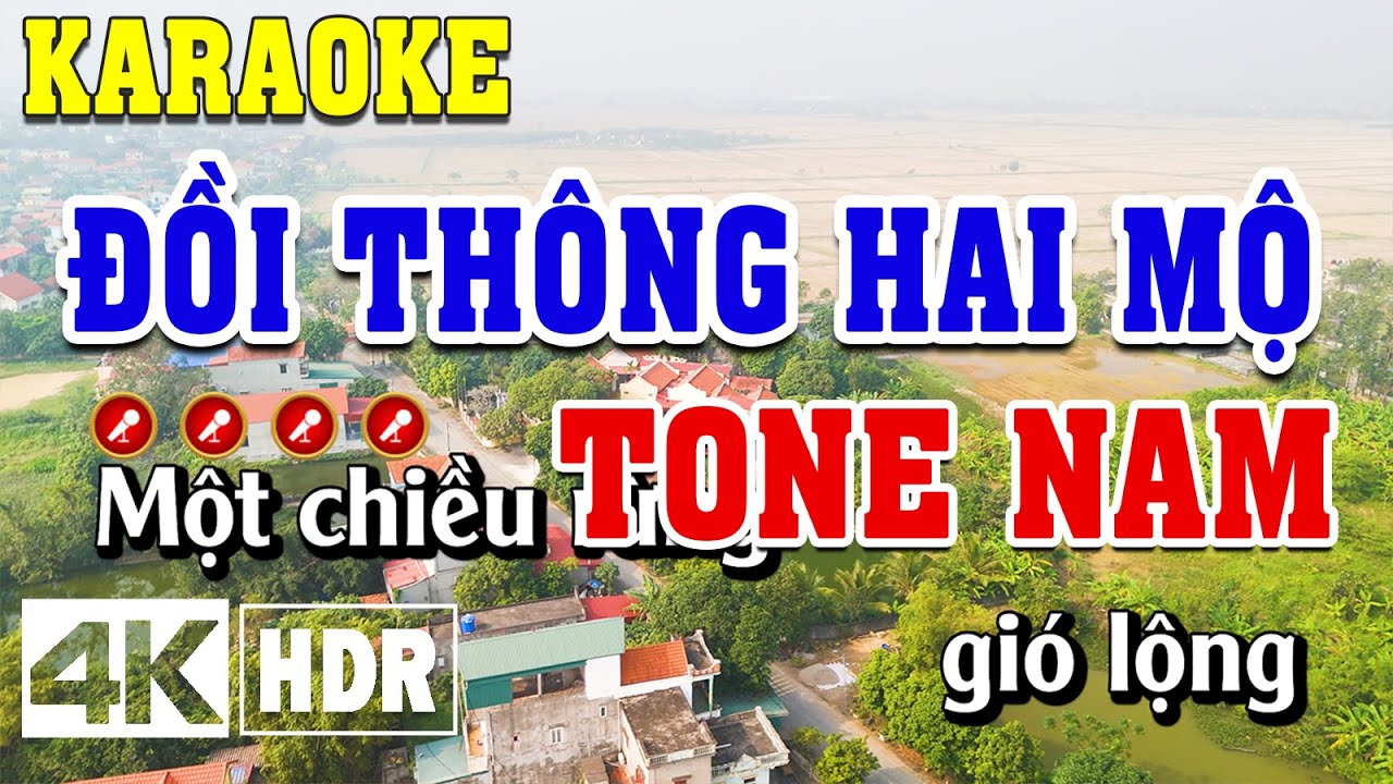 Đồi Thông Hai Mộ Karaoke Tone Nam Beat Chuẩn | Đình Long Karaoke