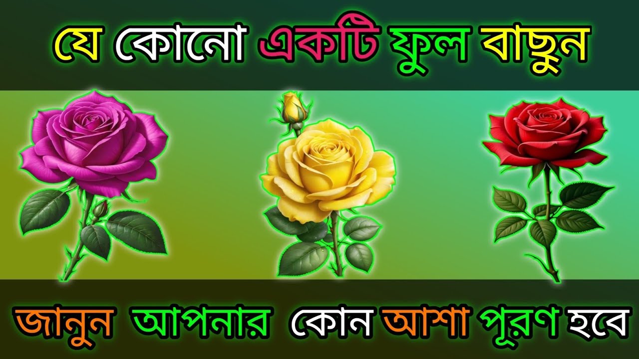 যেকোনো ১টি ফুল বাছুন জানুন আপনার কোন আশা পূরণ হবে?। bhago pariksha । apni kemon manush। ভাগ্যের পথ 
