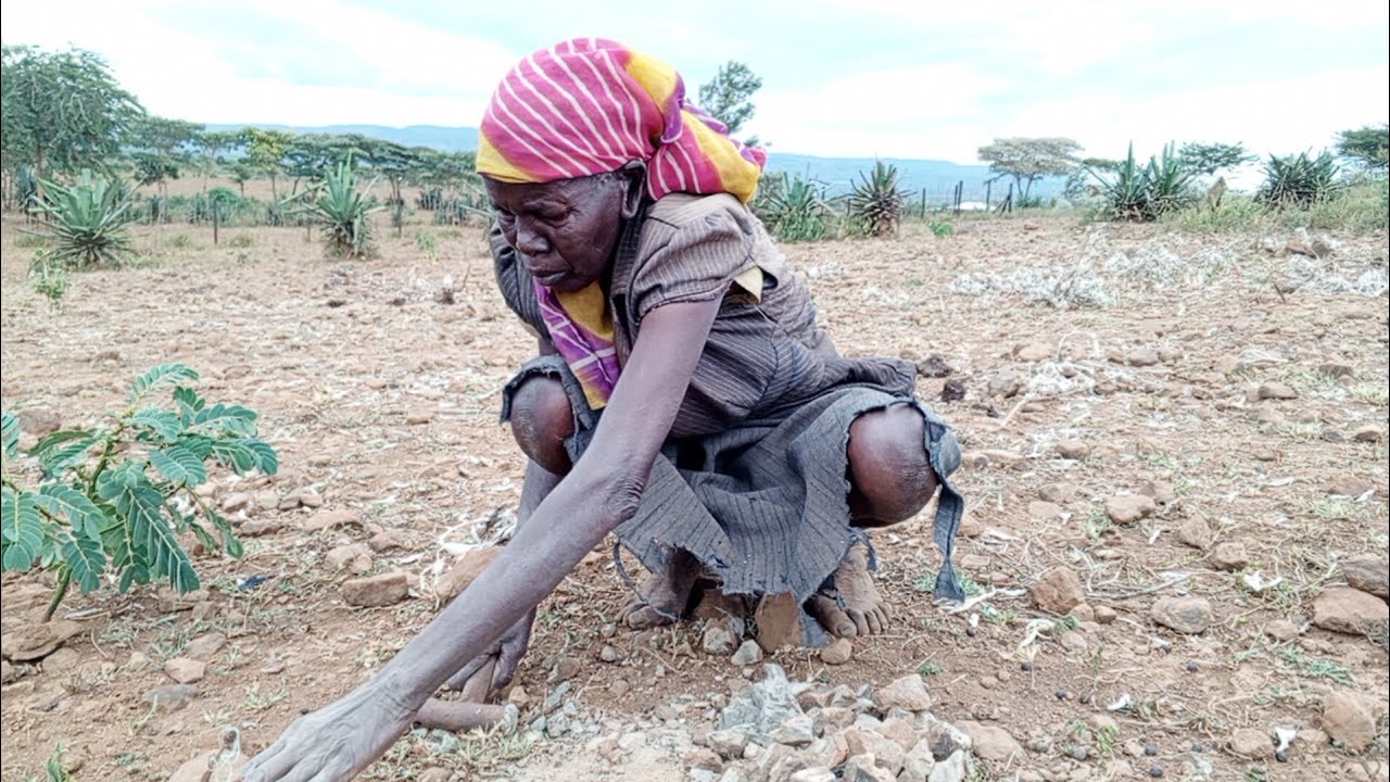 Contentment in the Wilderness: A Lone Woman's Uplifting Story😇♥️|| African Village life