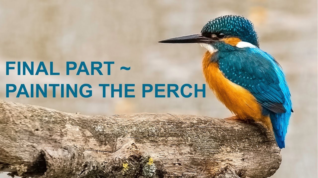paint a kingfisher in watercolour part 7