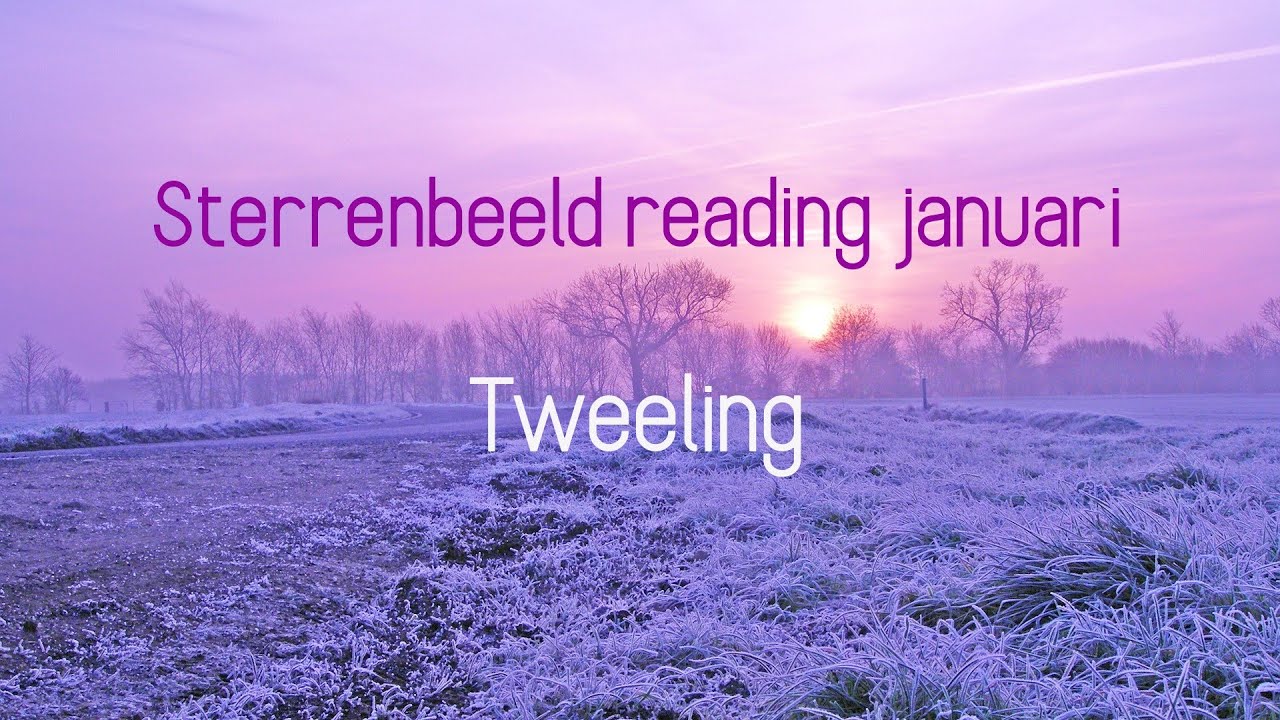 Sterrenbeeld reading januari: Tweeling