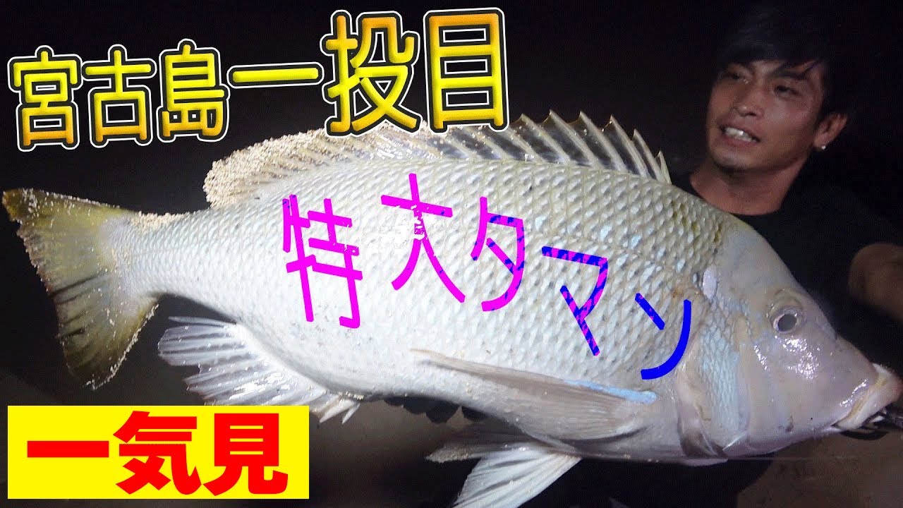 【一気見】宮古島でＧＴ狙います！
