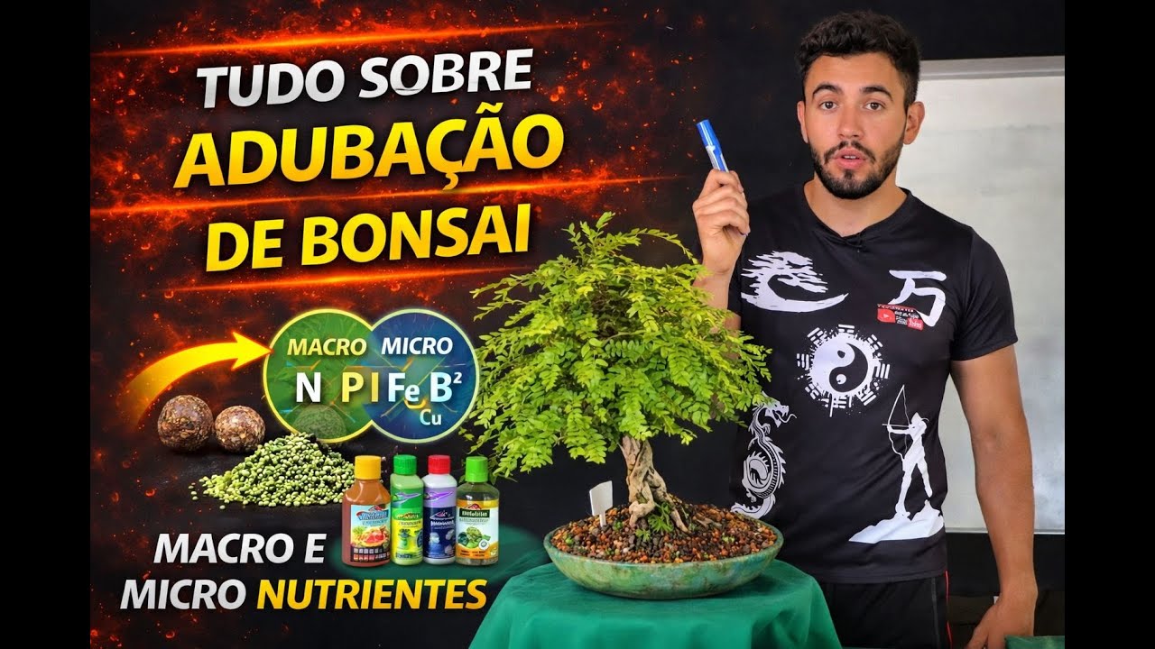 TUDO sobre ADUBAÇÃO DE BONSAI 🌳como adubar Bonsai PERFEITAMENTE  #bonsai