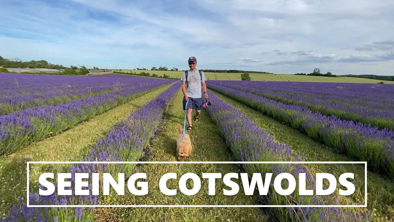 EP17 Seeing Cotswolds: Dog Friendly Weekend | Stow, Lavendar Farm, Steam Train, Broadway and a Zoo