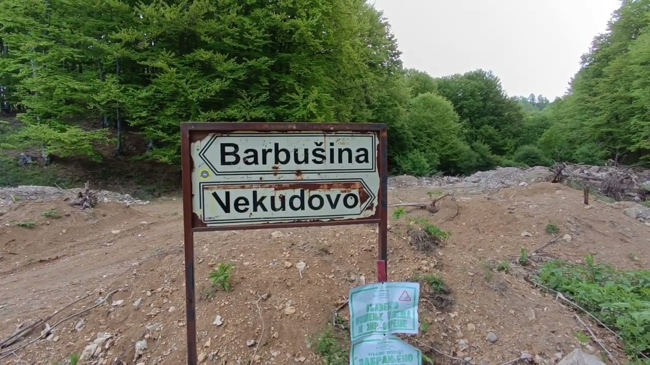 Barbušina 2025 Južni Kučaj