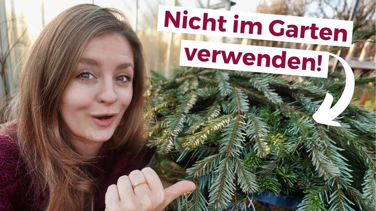 Die 17 wichtigsten Garten-Aufgaben im Januar
