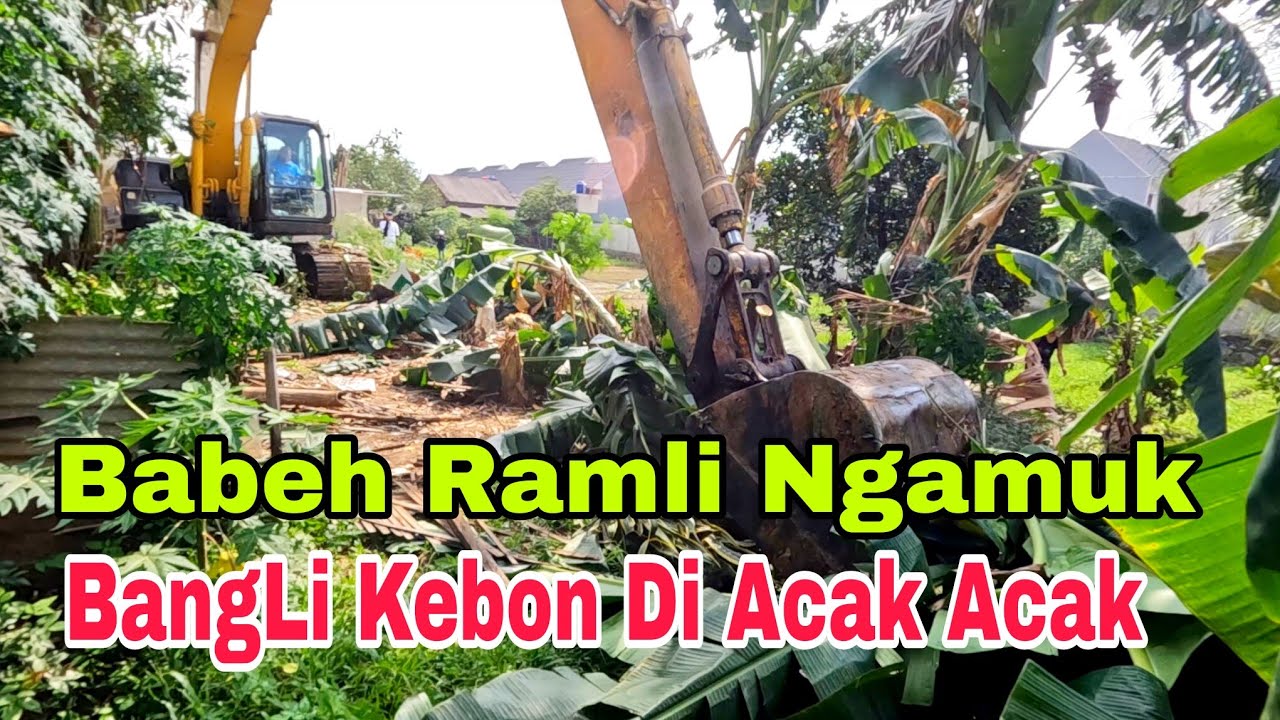 operator beko ngamuk! bangunan liar kebon di acak acak, jadi terang rapih & tertata kali bahagia