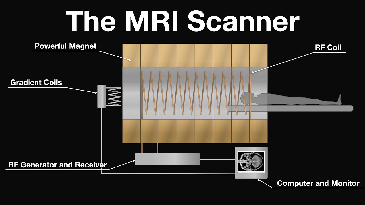 MRI Scan Animation : How magnetic resonance imaging works