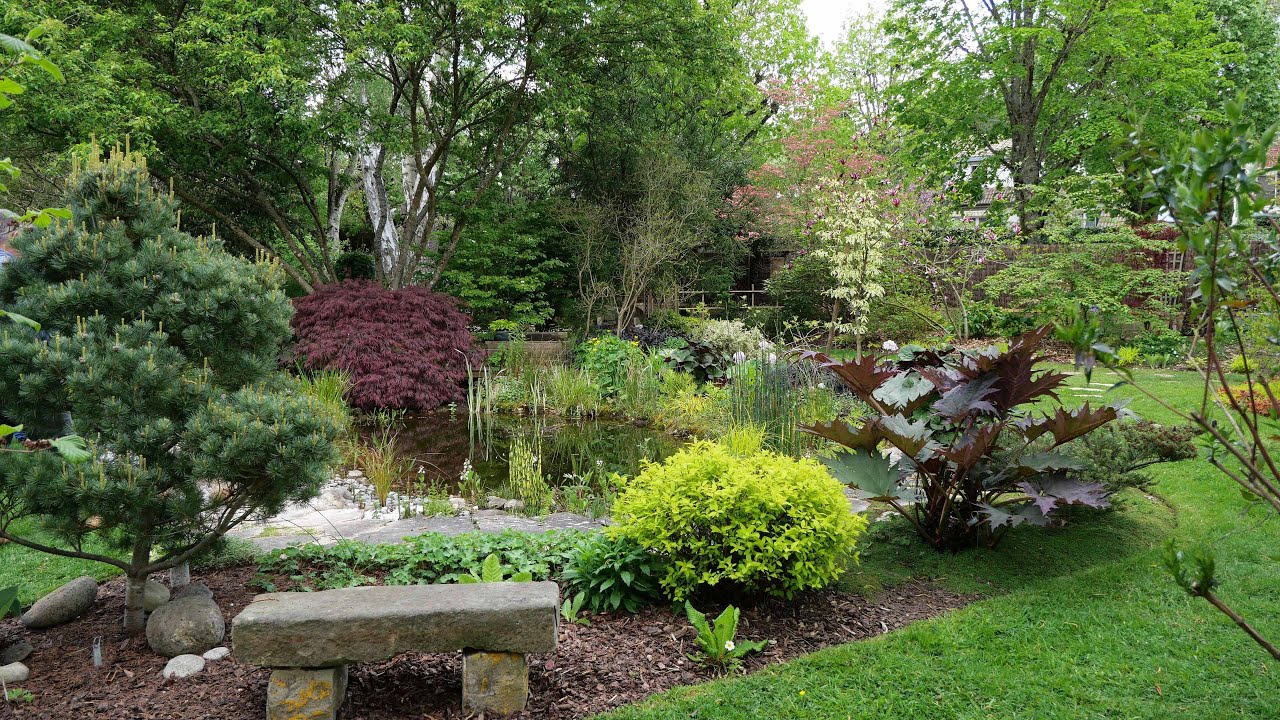 Jardin 