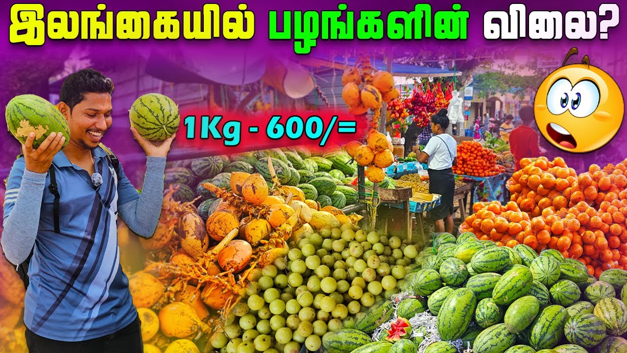 இலங்கையில் பழங்களின் விலை என்ன தெரியுமா?🍇| Jaffna Fruits Shop | Jaffna Best Juice Shop | Sri Lanka