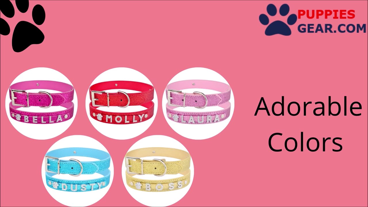 Personalized Rhinestone Bling Charm Leather Collar for Dog | Dog Collar