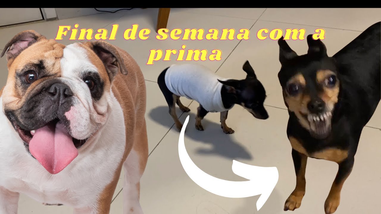 BIA VISITOU A BICA!!