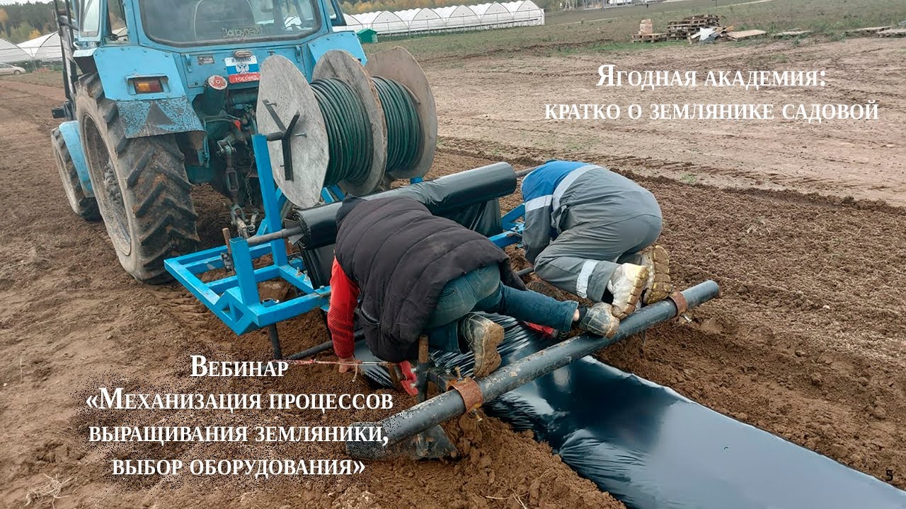 Вебинар &laquo;Механизация процессов выращивания земляники, выбор оборудования&raquo;