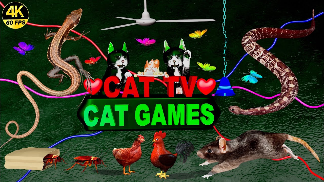 CAT GAMES | ULTIMATE CAT TV COMPILATION | ENTERTAINMENT VIDEO FOR CATS TO WATCH 4K, 8-HOURS | 😺