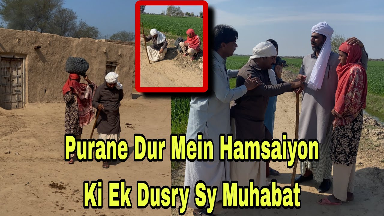 Purane Dur Mein Hamsaiyon Ki Ek Dusry Sy Muhabat