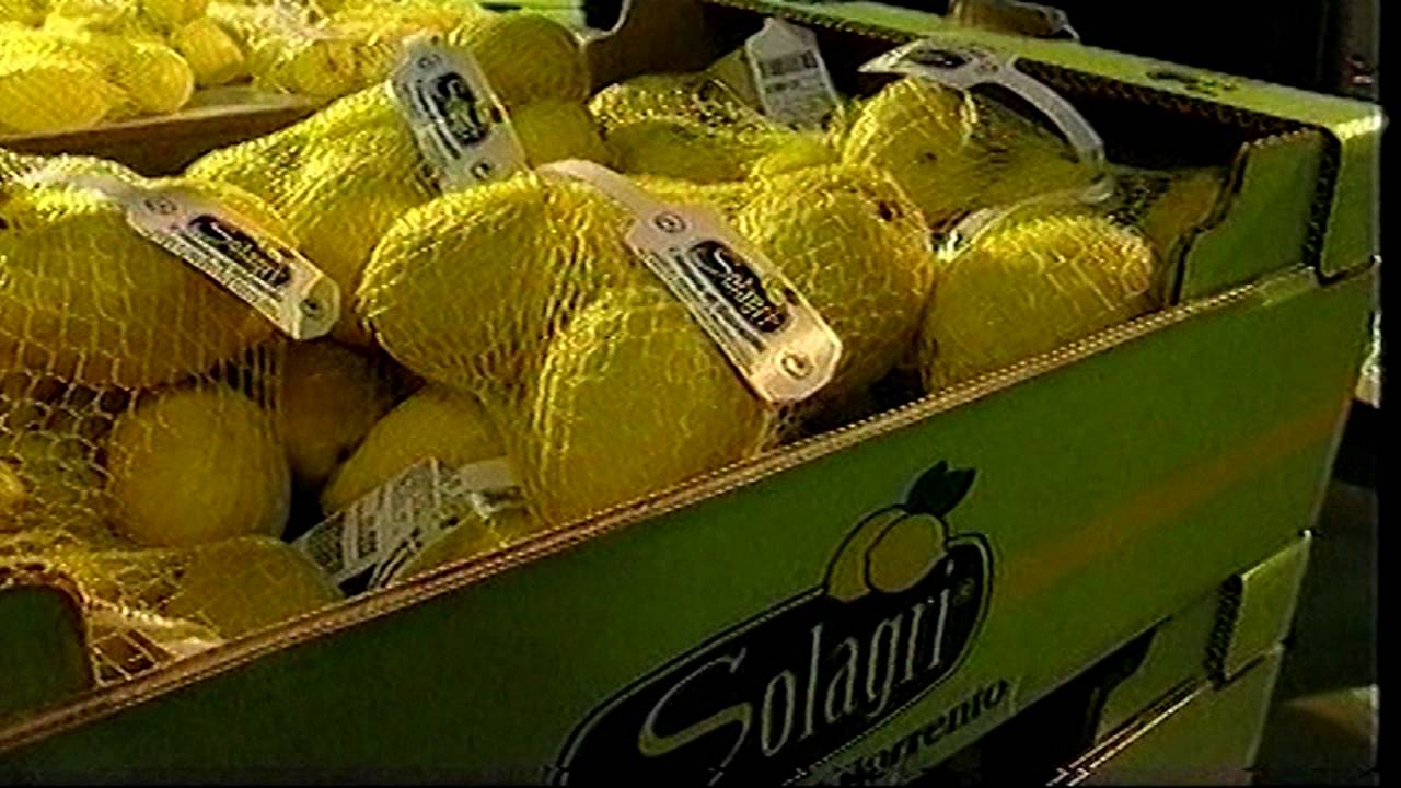 solagri sorrento limone igp