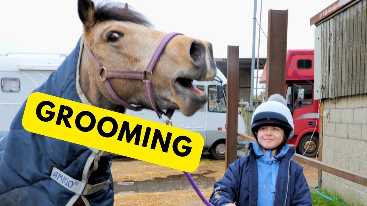 CUTE PONY GROOMING - HOW TO GROOM CUTE PONIES