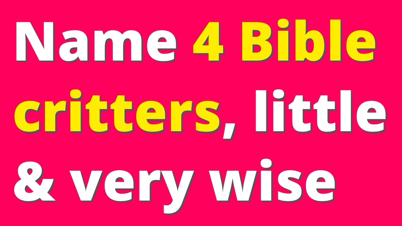 Bible Quiz | 3s & 4s (Also my guess how many you'll get wrong!)